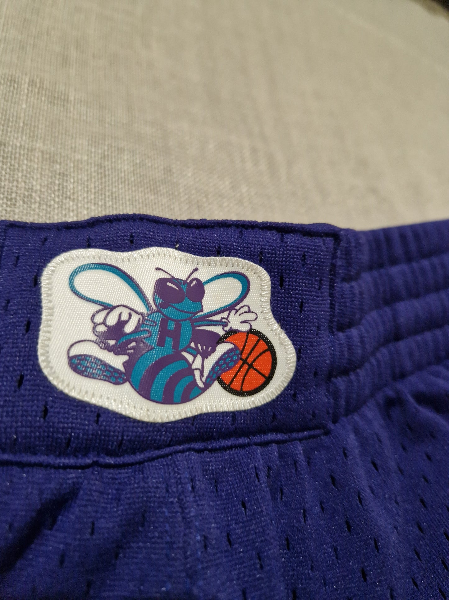 NBA Charlotte Hornets Shorts