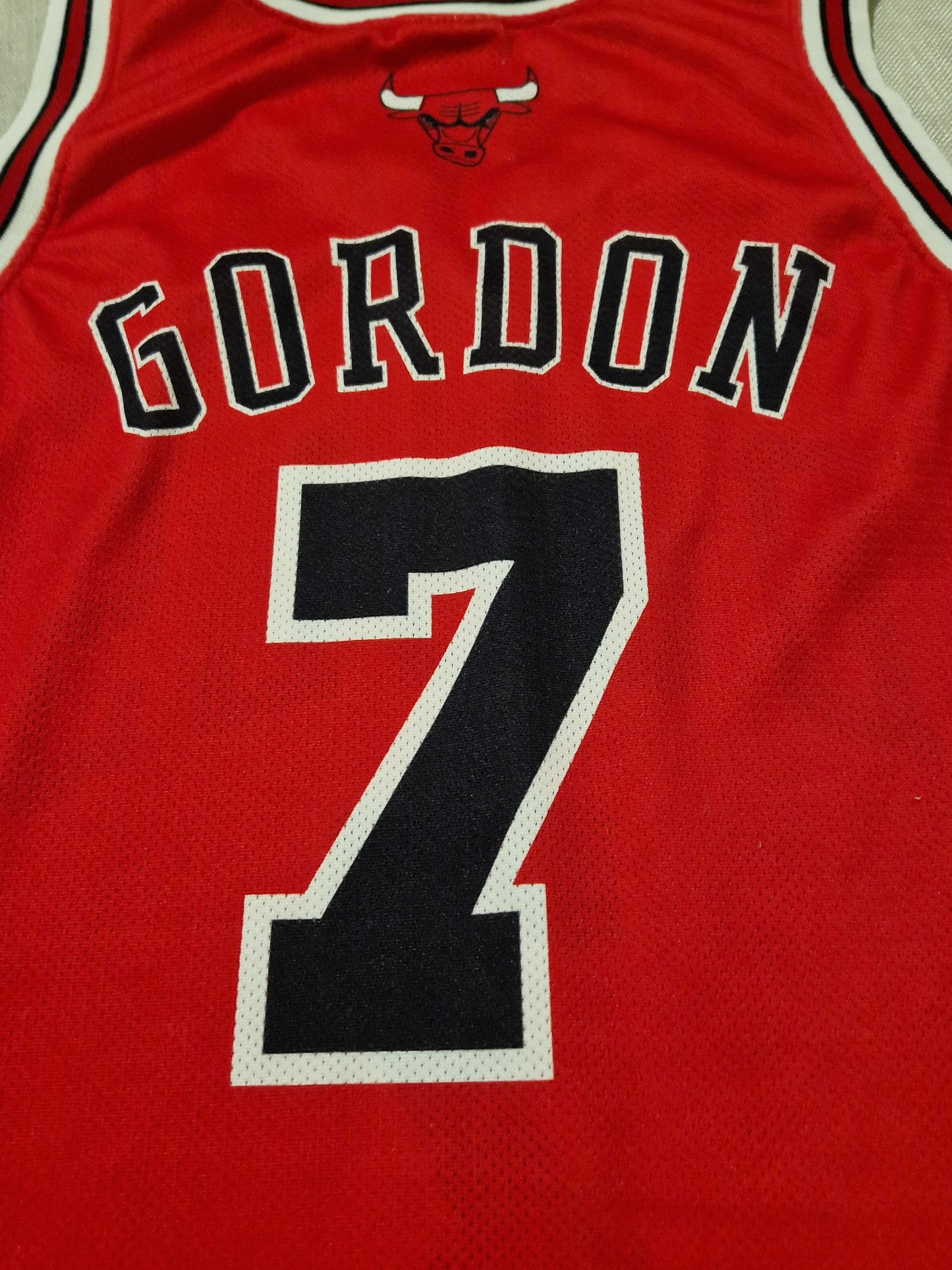 NBA Chicago Bulls Gordon Jersey