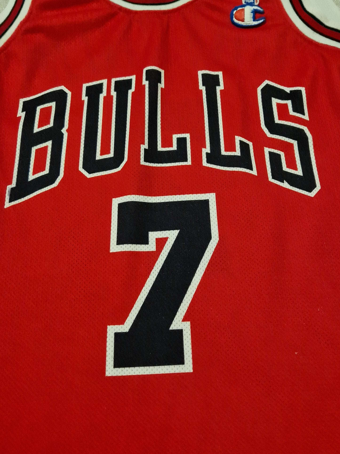 NBA Chicago Bulls Gordon Jersey