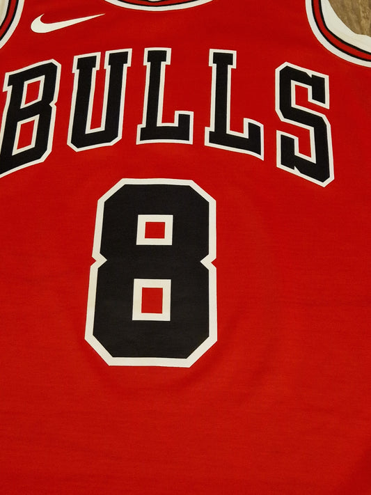 Chicago Bulls Lavine Jersey
