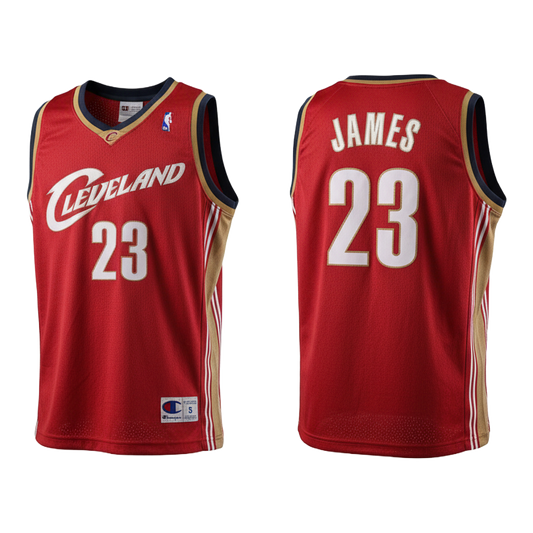 NBA Cleveland Cavaliers LeBron James Jersey