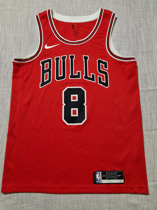 NBA Chicago Bulls Lavine Jersey