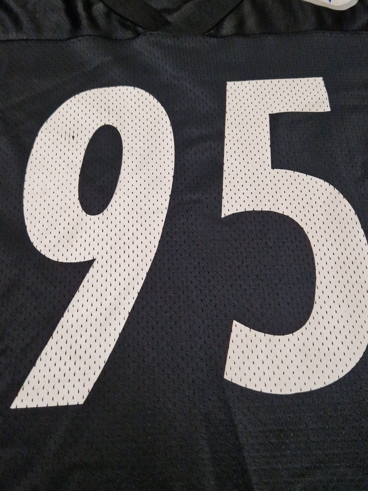 NFL Pittsburgh Steelers Lloyd Jersey