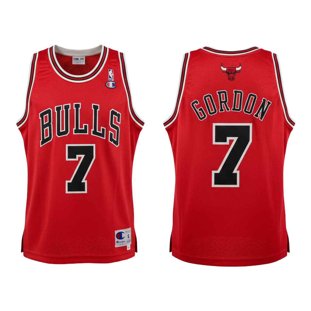 NBA Chicago Bulls Gordon Jersey