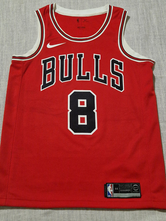 NBA Chicago Bulls Lavine Jersey
