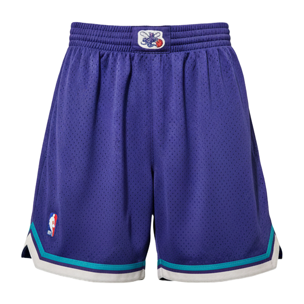 NBA Charlotte Hornets Shorts