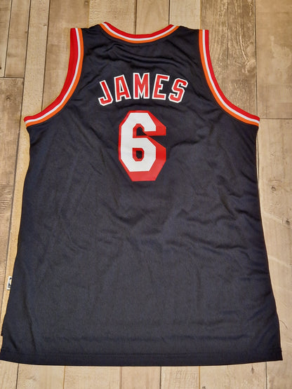 Miami Heat LeBron James Jersey