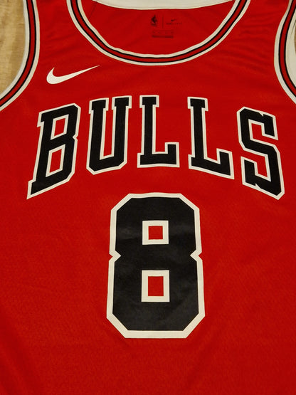Chicago Bulls Lavine Jersey
