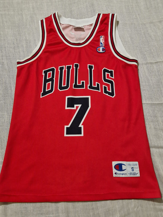 NBA Chicago Bulls Gordon Jersey