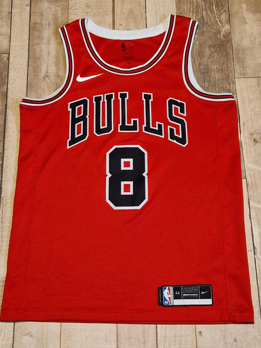 Chicago Bulls Lavine Jersey
